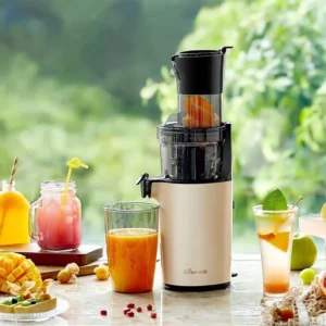 Máy Ép Chậm, Máy Ép Hoa Quả Tốc Độ Chậm BEAR YZJ-C02S5/D01Y6 Chính Hãng BH 12 Tháng - Sỉ Gia Dụng